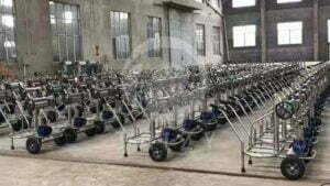 We sold 100 sets milking machine for dairy cows to Peru
