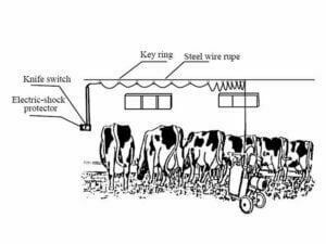 How to choose feed before using small cow milking machine?