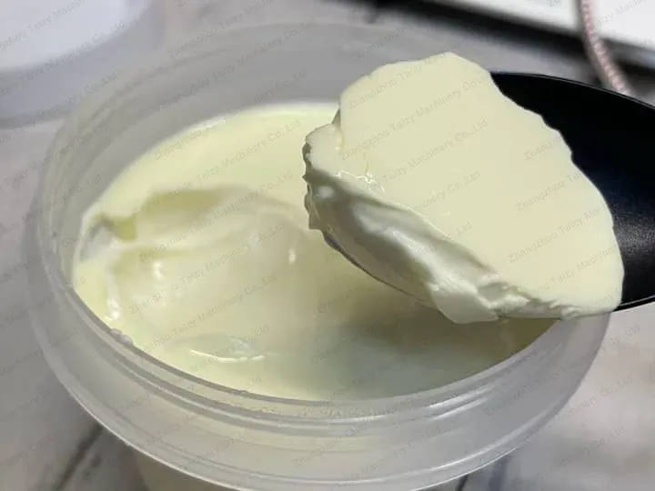 Taizy Supports Indian Yogurt Making Line Project 7 Solid yogurt